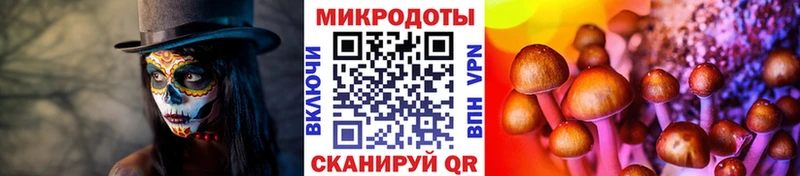 Купить  Цивильск  Псилоцибиновые грибы мицелий 